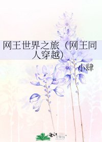 《网王世界之旅(网王同人穿越)》