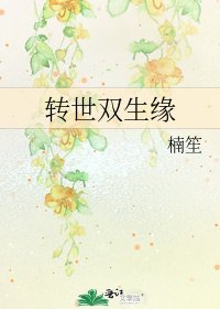 《转世双生缘》