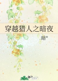 《穿越猎人之暗夜》