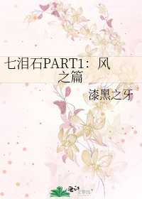 《七泪石PART1:风之篇》