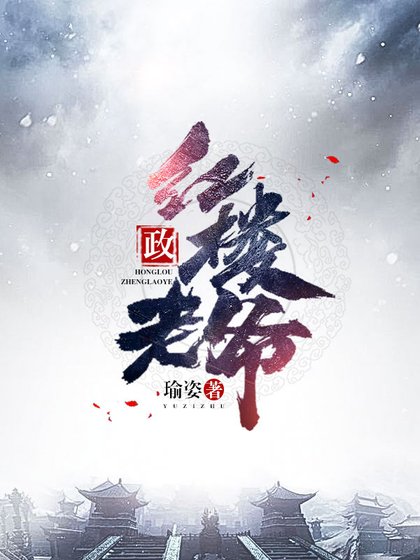红楼政老爷