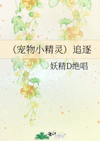 《(宠物小精灵)追逐》
