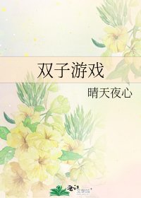 《双子游戏》