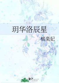 《玥华洛辰星》