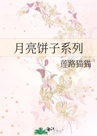 《月亮饼子系列》