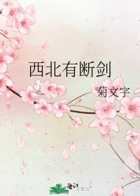 《西北有断剑》