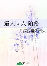 《猎人同人 陌路》