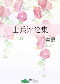 《士兵评论集》