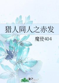《猎人同人之赤发》
