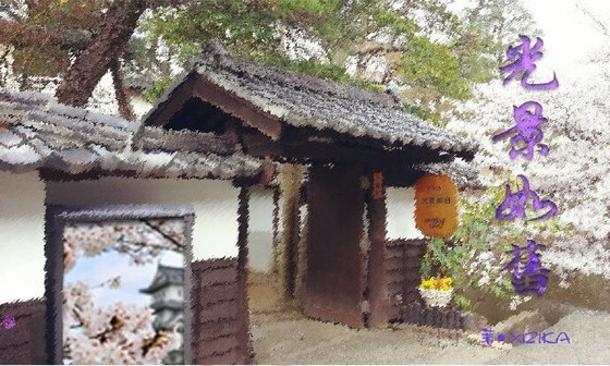 《(网王同人)网王之光景如旧》