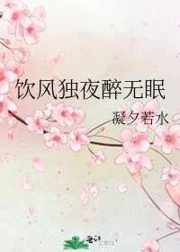《饮风独夜醉无眠》