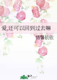 《爱,还可以回到过去嘛》