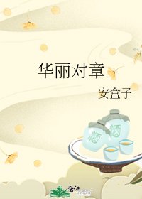 《华丽对章》