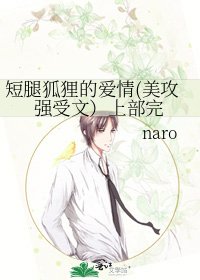 《短腿狐狸的爱情(美攻强受文)上部完》