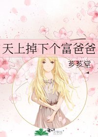 《天上掉下个富爸爸》