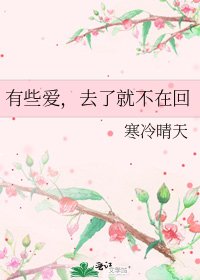 《有些爱,去了就不在回》