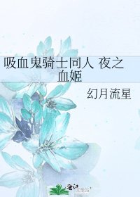 《吸血鬼骑士同人 夜之血姬》