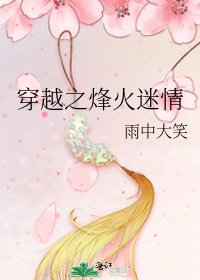《穿越之烽火迷情》