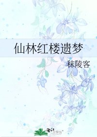 《仙林红楼遗梦》