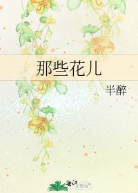 《那些花儿》