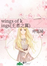 《wings of kings(王者之翼)》