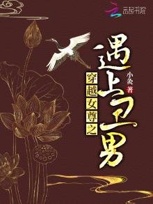 《穿越女尊之遇上丑男》
