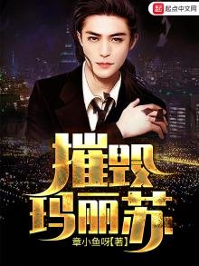《摧毁玛丽苏》