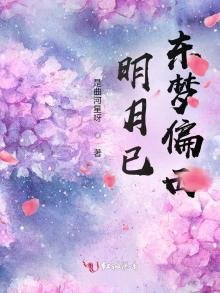 《明月已东梦偏西》