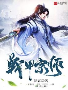 《战甲宗师》