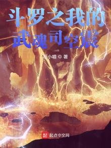 《斗罗之我的武魂司空震》