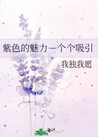 《紫色的魅力-个个吸引》