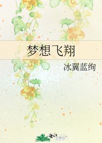 《梦想飞翔》