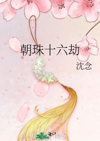 《朝珠十六劫》
