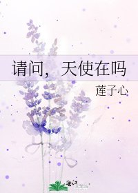 《请问,天使在吗》