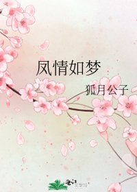 凤情如梦