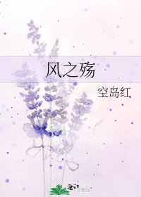 《风之殇》