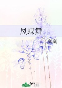 《凤蝶舞》