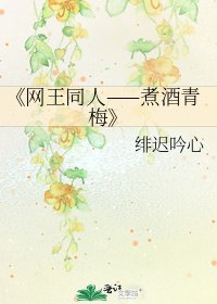 《网王同人——煮酒青梅》
