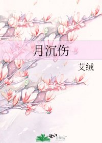 《月沉伤》