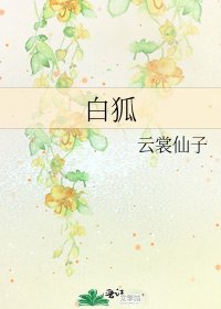 《白狐》