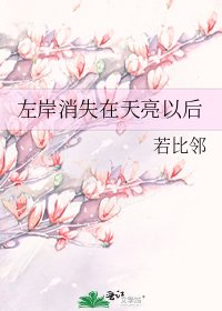 《左岸消失在天亮以后》