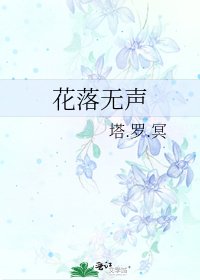 《花落无声》