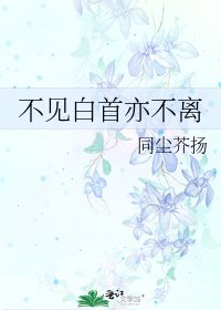 不见白首亦不离