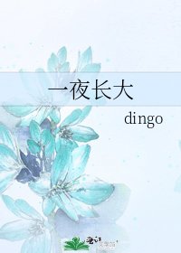 《一夜长大》
