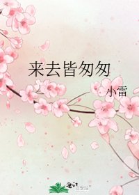 《来去皆匆匆》
