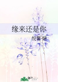 缘来还是你