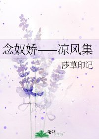 《念奴娇——凉风集》