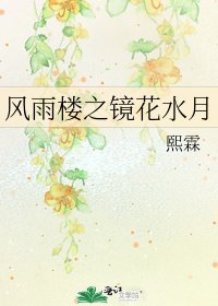 《风雨楼之镜花水月》
