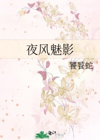 《夜风魅影》