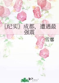 《〖纪实〗成都,遭遇最强震》